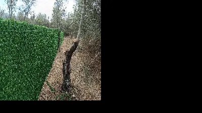 Muhammet Ali Abdioglu 1