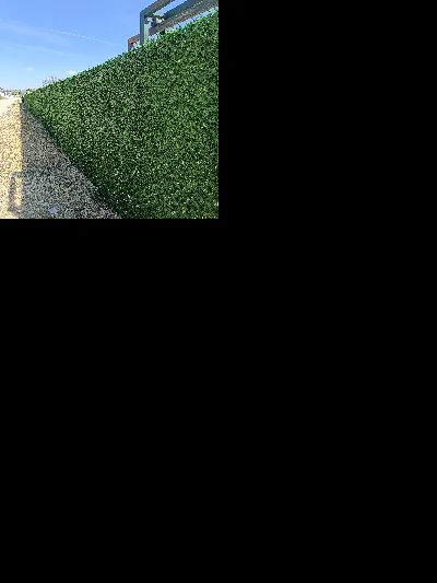 Muhammet Ali Abdioglu 4