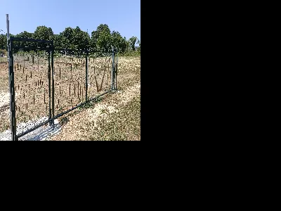 Muhammet Ali Abdioglu 6