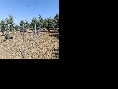 Muhammet Ali Abdioglu 5