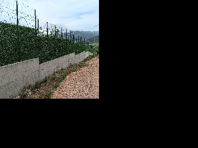 Muhammet Ali Abdioglu 10