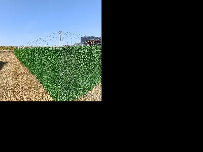 Muhammet Ali Abdioglu 2