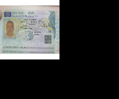 Süleyman Tansu TOK 1