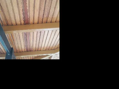 Mükerrem Yağmur Akpak 8