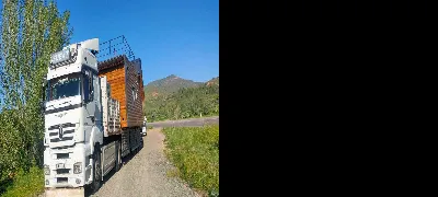 Yusuf Can Beyoğlu 6