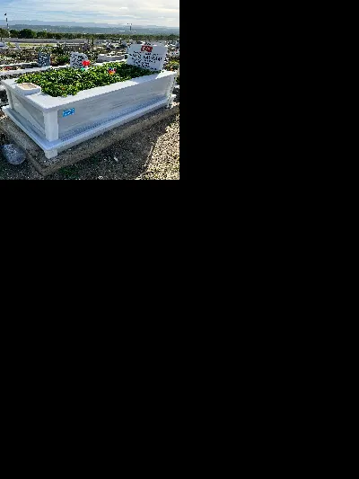 Abdurrahman şahin 2