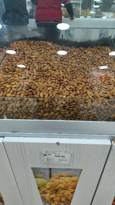 Recep Çapraz 4