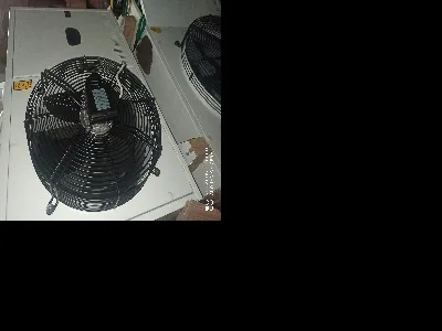 Mehmet Emin Türkmen 5