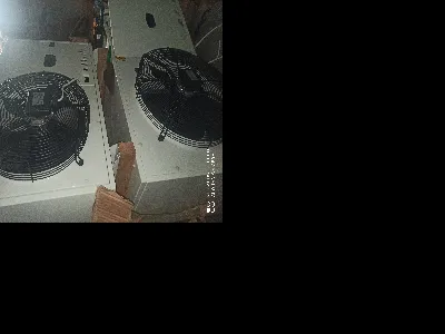 Mehmet Emin Türkmen 2