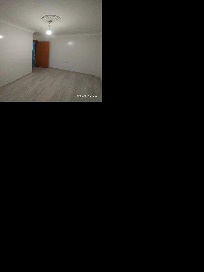 Sebahattin Doğan 11