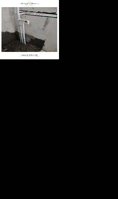 Kara Kartal Topal 13