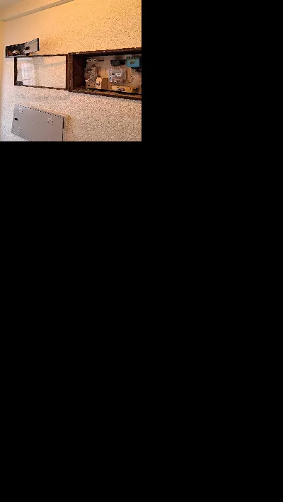 Kara Kartal Topal 14