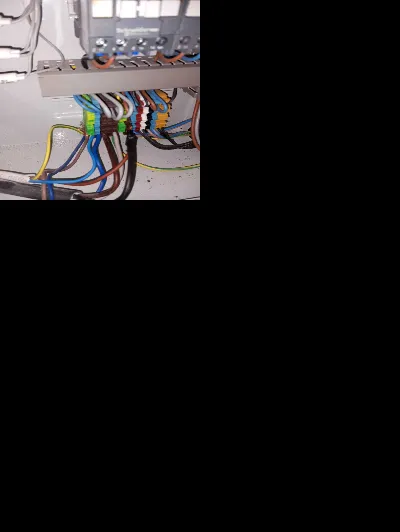 Kara Kartal Topal 10