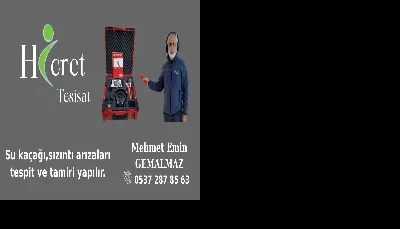 Mehmet Emin Gemalmaz 1