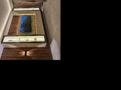 Ahmet Enes Biçici 1