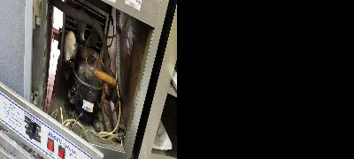 Mehmet Uğur Çalıkuşu 6