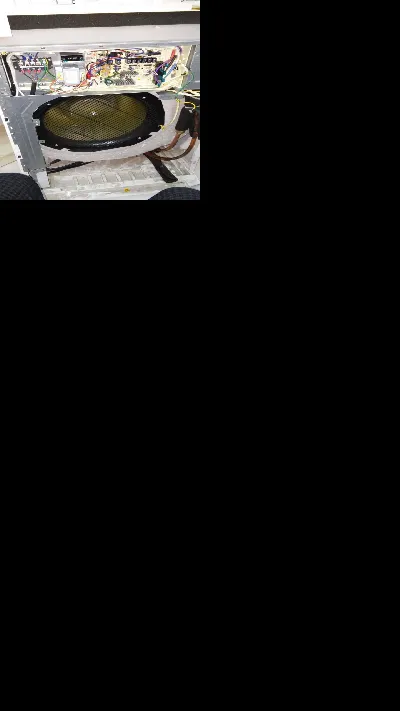 Mehmet Uğur Çalıkuşu 2