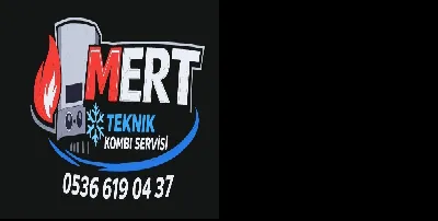 Yavuz Gençer 1