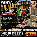 Yahya Yılmaz