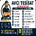Sevter Avcı